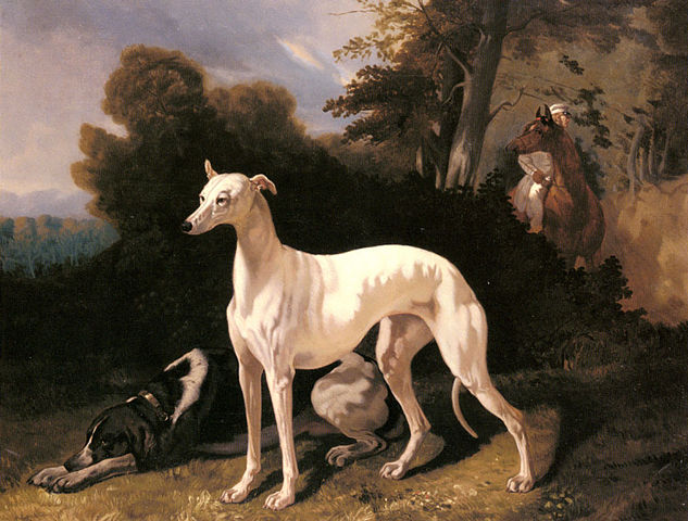greyhound painting